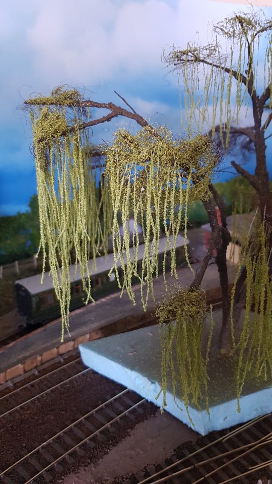 20180522_123731.jpg