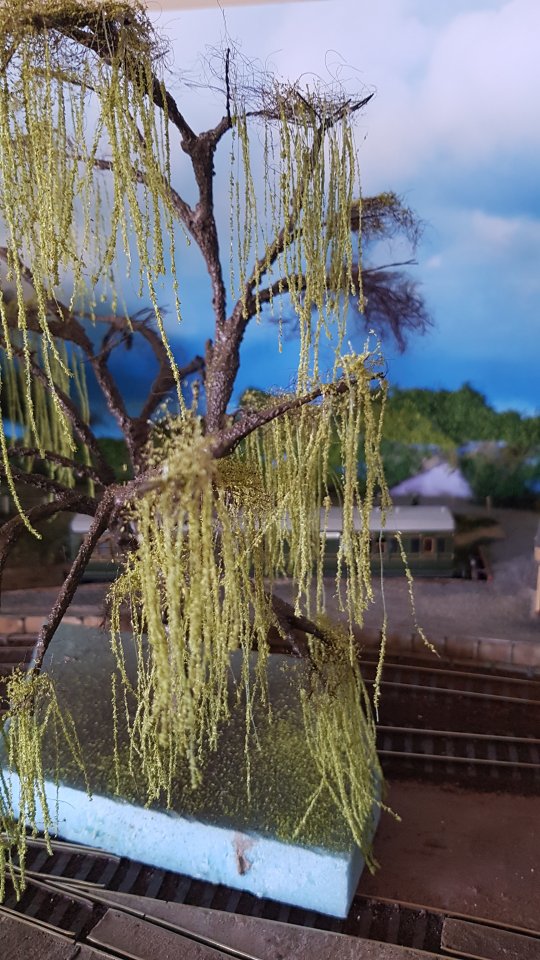 20180522_123739.jpg
