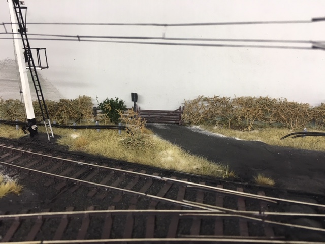 image2.jpeg